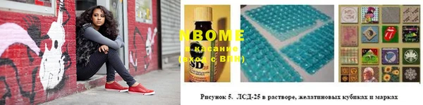 прущие грибы Беломорск