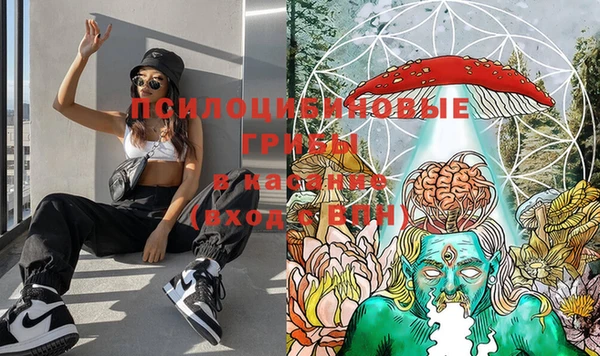 амф Богданович