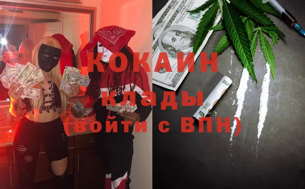 прущие грибы Беломорск