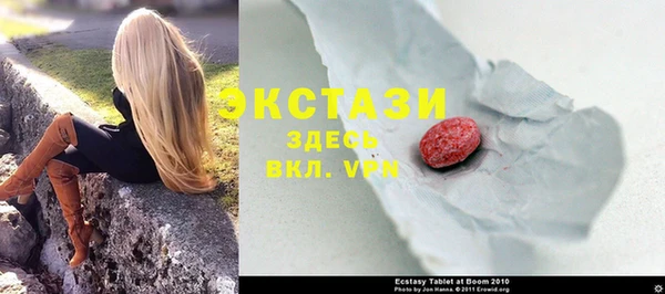 СК Богородицк