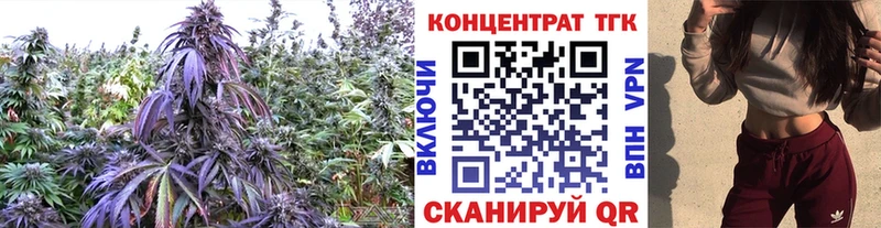 наркотики Беслан ТГК жижа